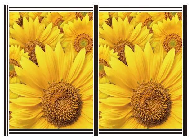 FOTOBA XLA170ロールモードでのトリムカット