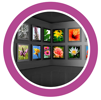 ファインアートのイメージ